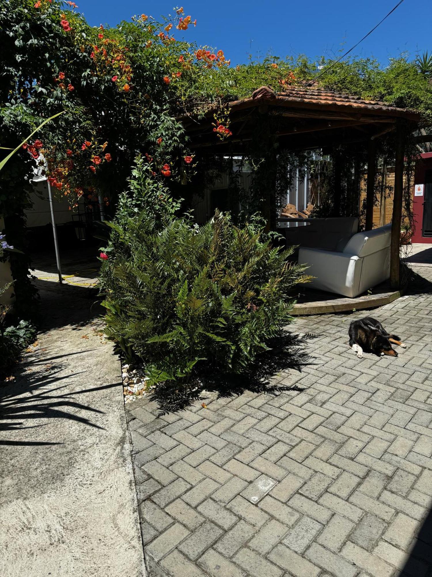 Pousada Upserra Urubici Exterior foto